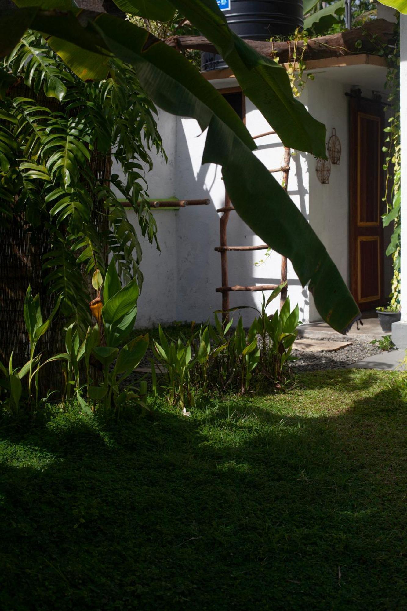 Marshmallow Homestay Ahangama Exterior foto